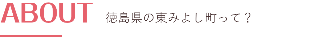 徳島県の東みよし町って?